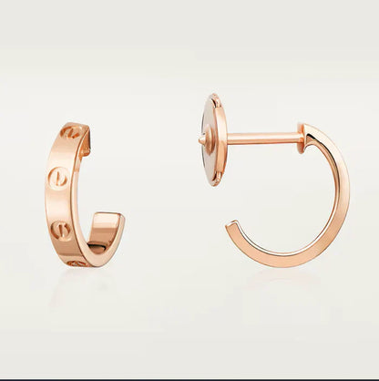 Noble Love Earrings 2.65mm Silver